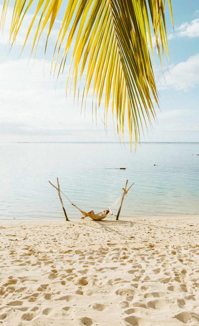 Sea turtle marine card denis island